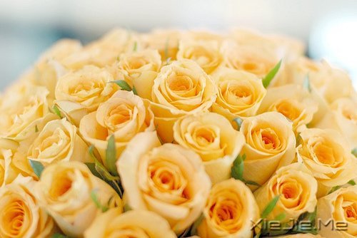 ʱ��������ֻ������һȥ���� (7)