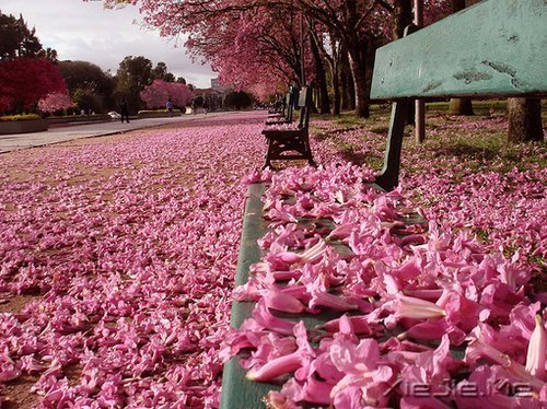 �������ʱ�䲻�����㿴͸���ˣ�Ҳ���������Լ� (2)