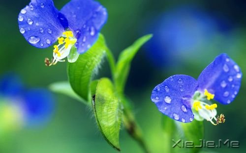�簲������������������������������ (4)