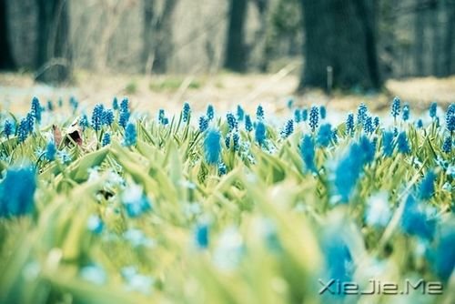 �簲���ֻҪ�����ߣ��ܻῴ������ (8)