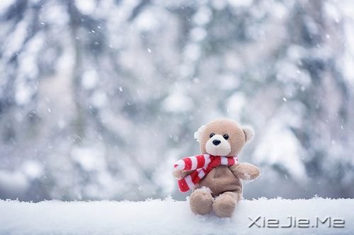 �簲�����Ҫ��Ϊ���˿���������ʧ���Լ� (4)