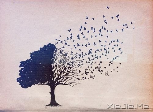 ���֣������������Ҫ��һ���� (3)