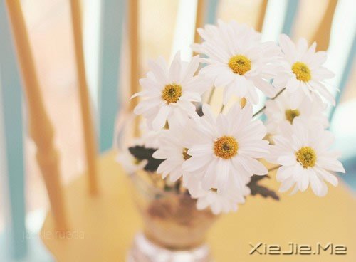 ѧ�����